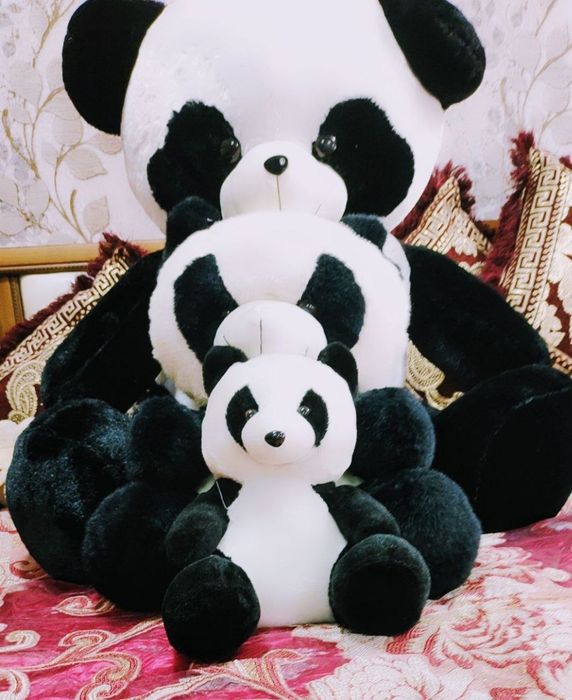 Panda igrushkalar oilasi