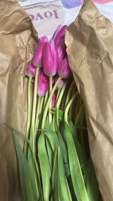 Продаются тюльпаны