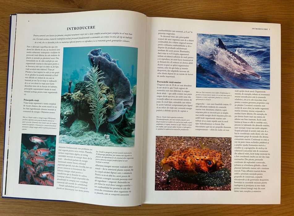 Peștii și creaturile marine – Enciclopedie ilustrată a lumii subacvatice (Editura Aquila)