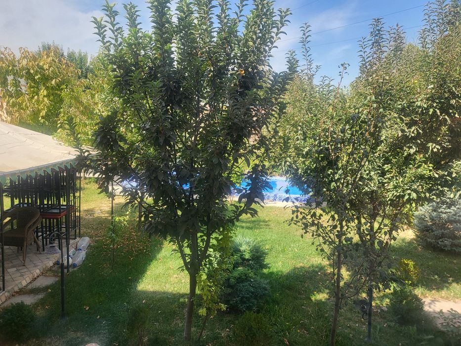 Дом в махалле Катта Хасанбай Юнусабадского района