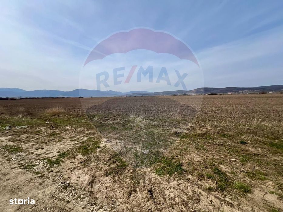 Teren de vanzare!