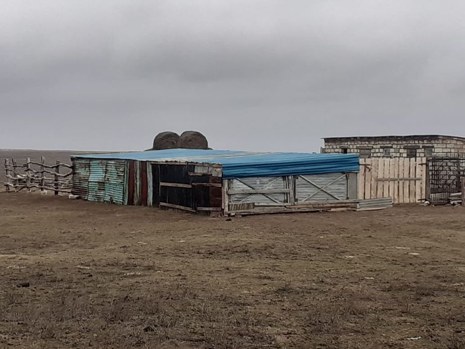 Сельское хозяйство