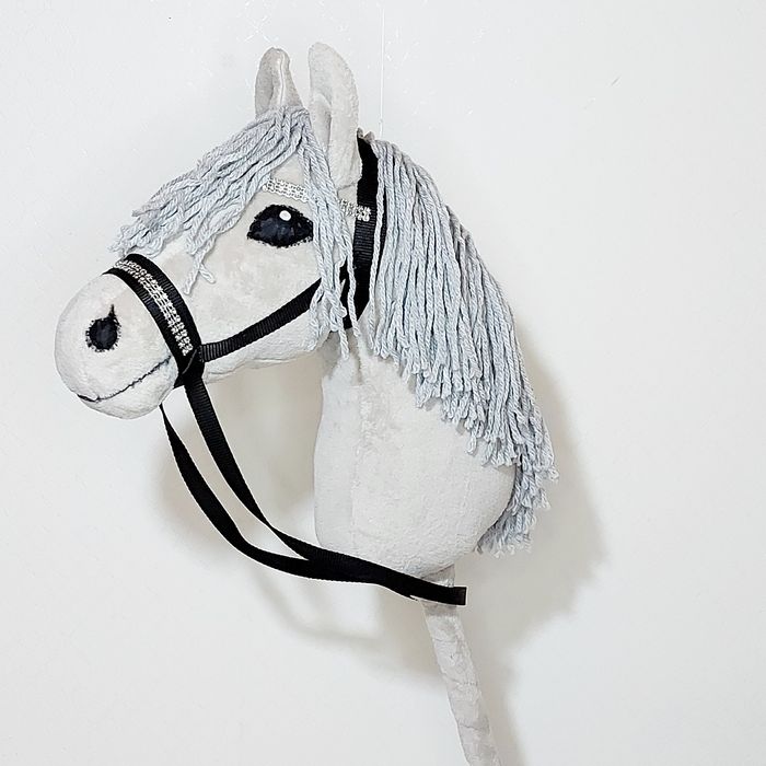 Hobby horse, cal cu baț