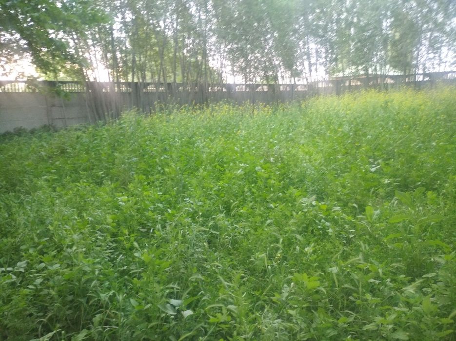 Ховли уй жой сотилади