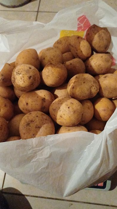 Картошку продаем  домашний,со своего огорода,Доставка есть!