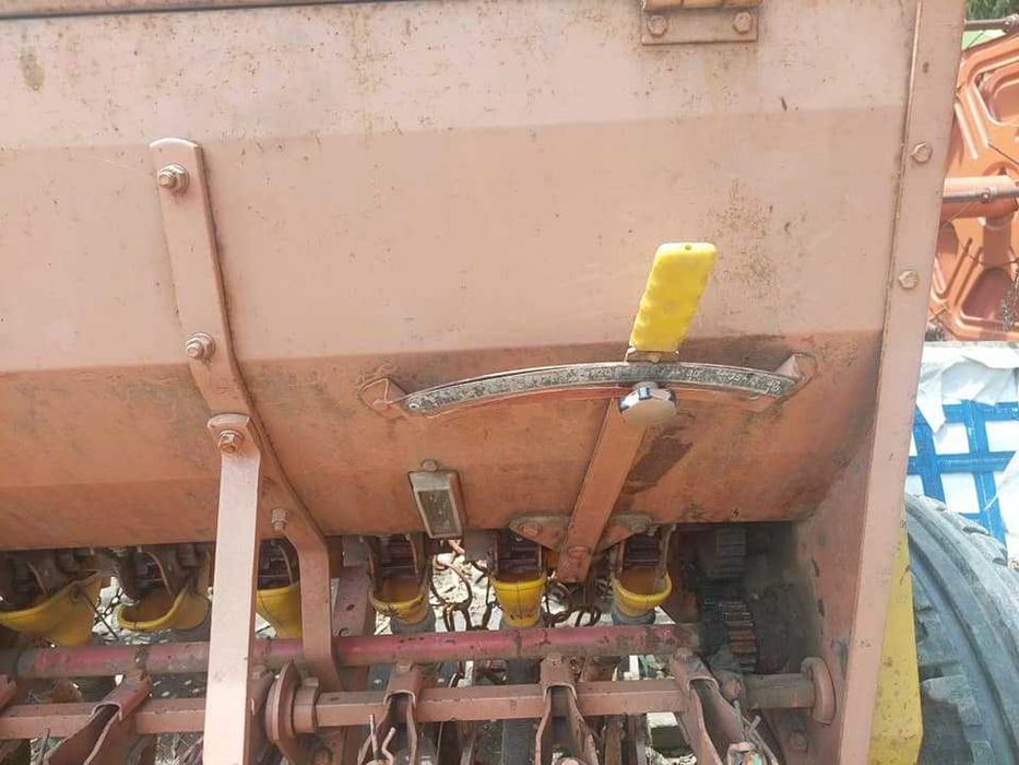 semanatoare paioase pe discuri