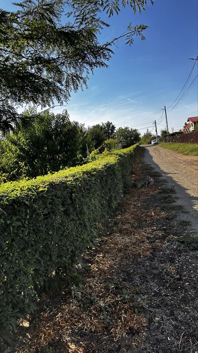 Se vinde loc de casa ( solar + livada pruni)