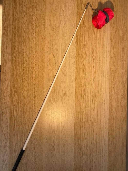 Panglică gimnastă Domyos