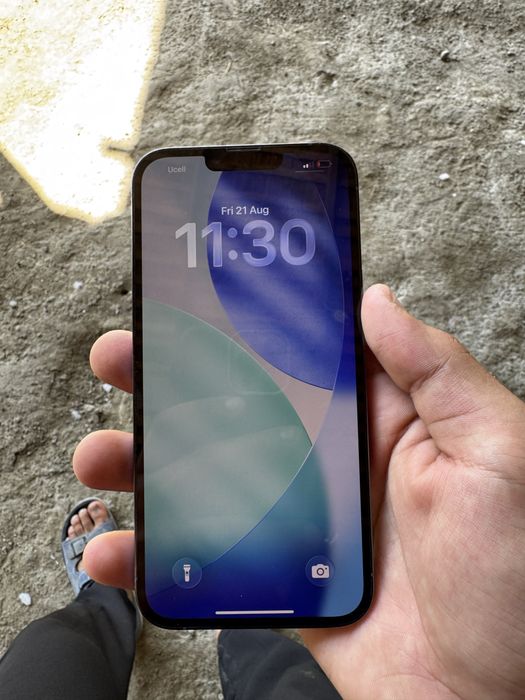 iPhone 13 pro max