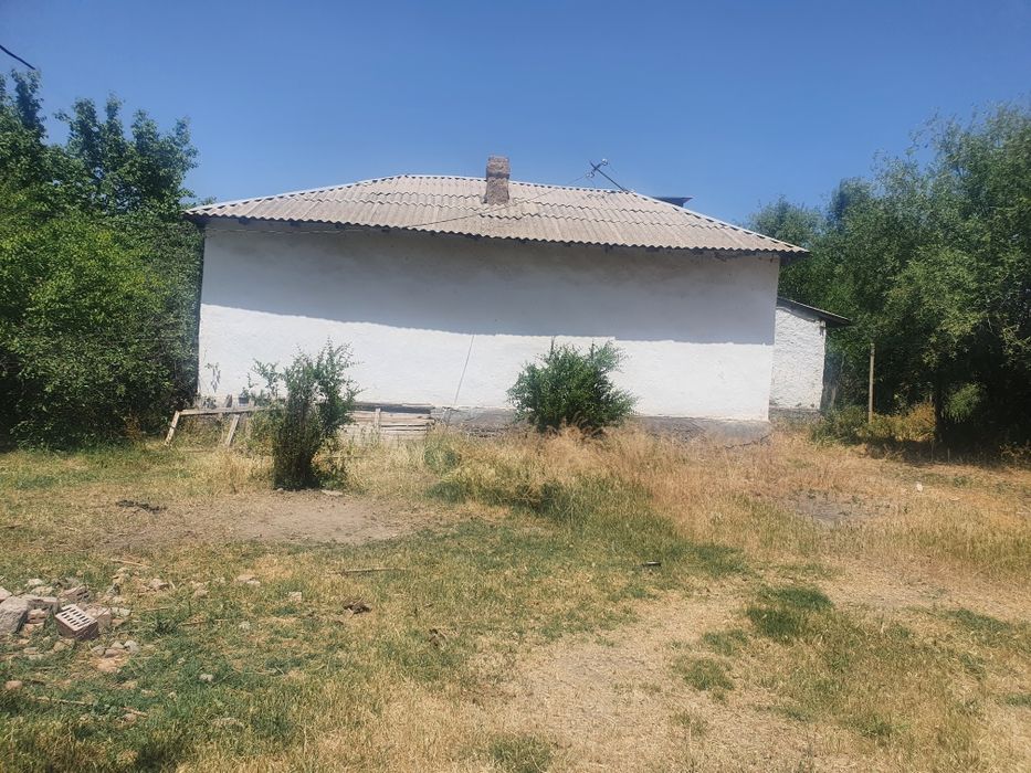 Manzil boka tumani toyloq mfy Uy sotiladi chorva dexqonchilik parrand