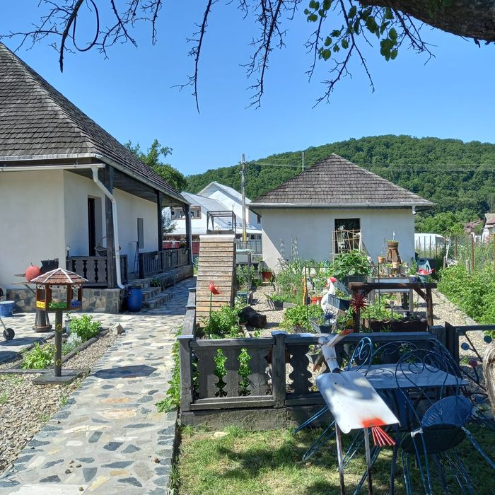 Casă,teren si anexe de vânzare