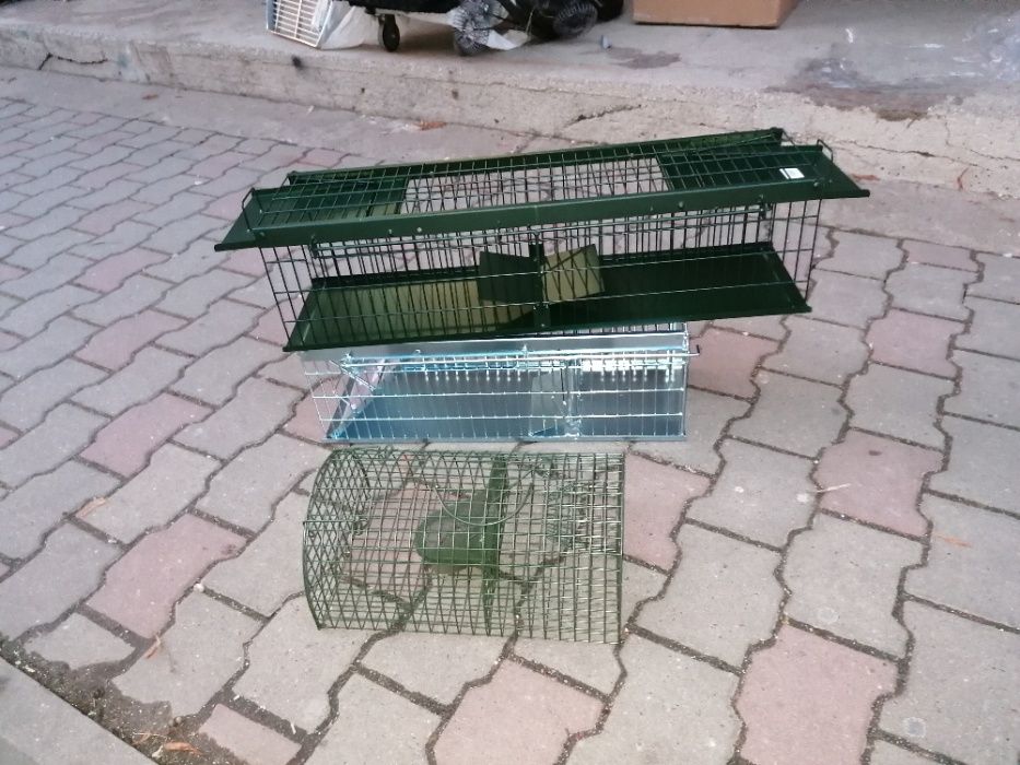 Taposoracs Ar