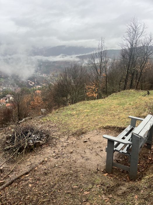 Поземлен имот с. Свидня