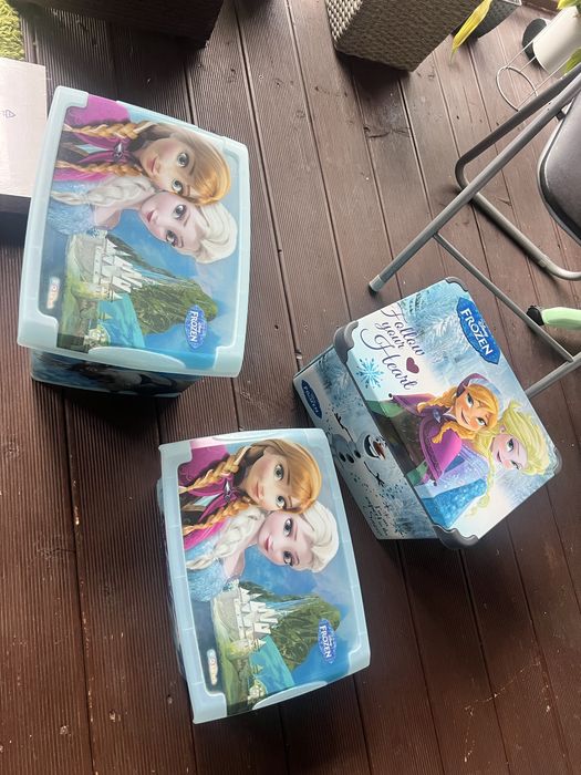 Кутии за съхранение FROZEN