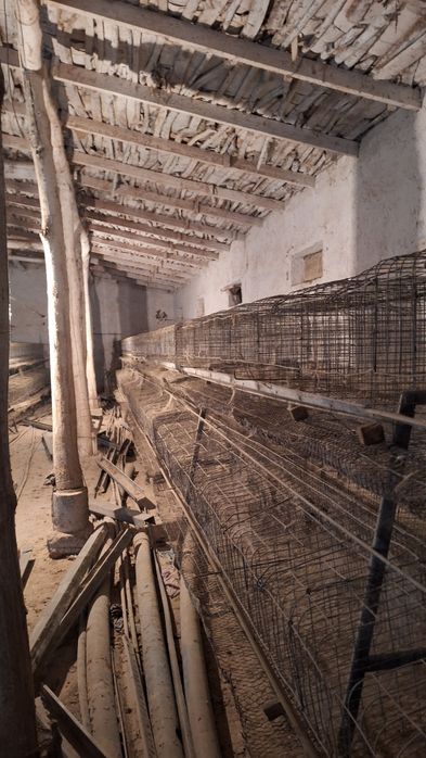 5 000 talik tovuqa mo‘ljalangan Katak sotiladi  Tovuq ham bor