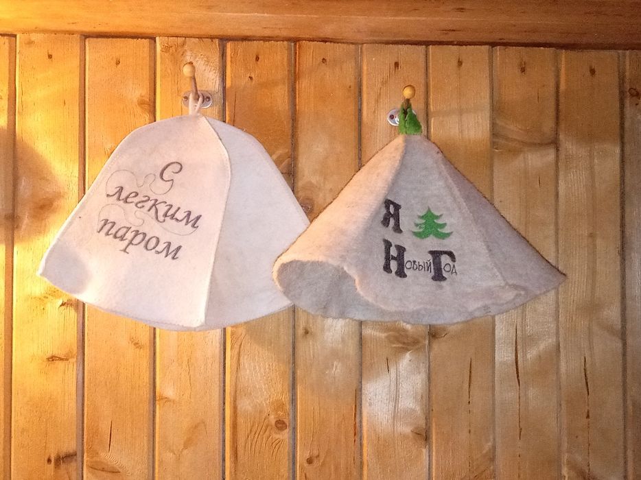 Продам дом в селе Ефремовка