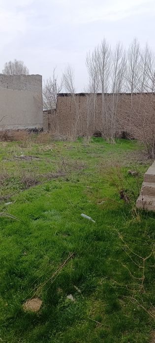 Тошкент Тумани Гиеос Умаров 10 .сутик ер сотилади