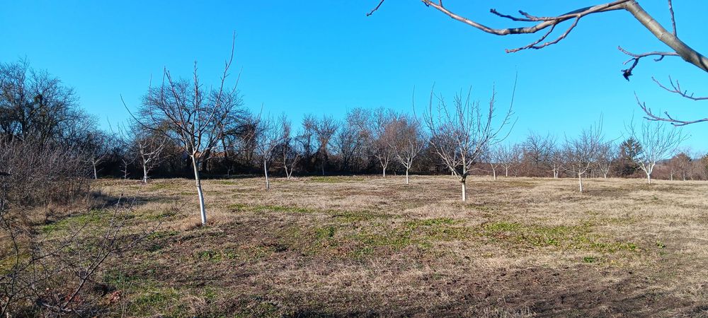 Продава се Земеделски имот в Търговище, Център -  кв.м за 1403 €/дка - Снимка #1