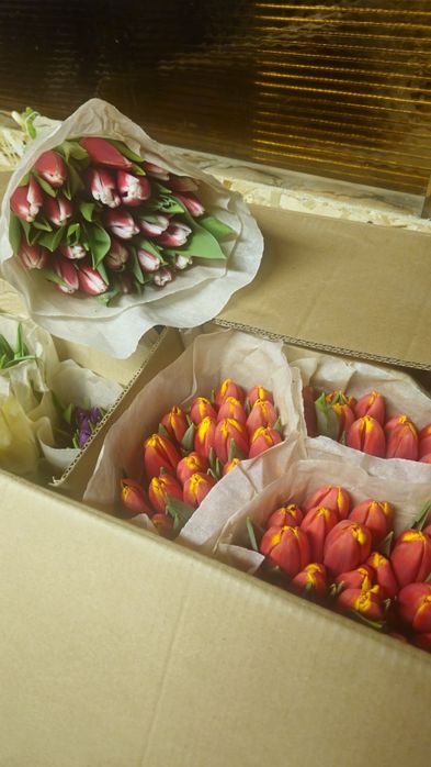 В Наличии шикарные тюльпаны