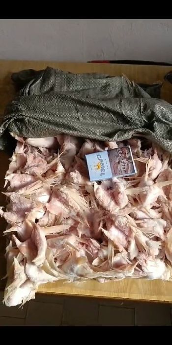 Рыба свежая оптом