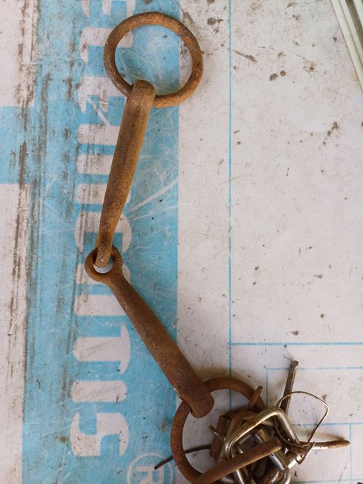 Закрутка, ауыздық  для животных