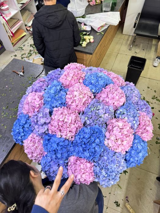 101 гортензия в коробке