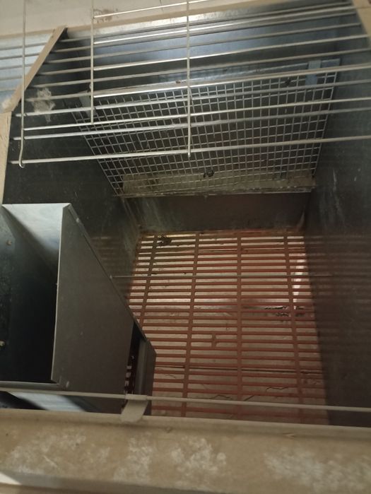 Куëнлар учун таййор 20 та тугиш учун клеткалар сотилади