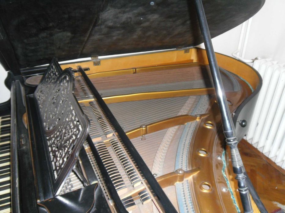 Австрийски концертен роял Роберт Райнхолд /Robert Reinhold