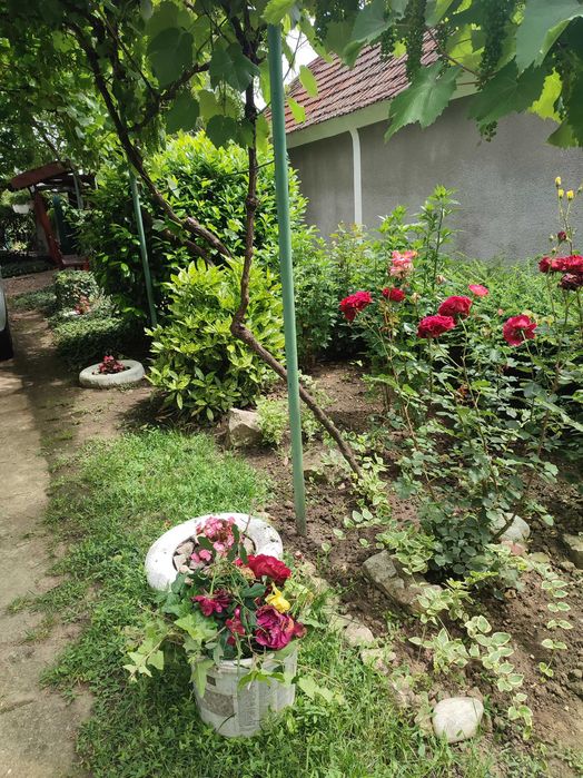 Casa de vanzare Poclusa