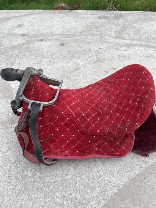 Ер тоқым сатылады