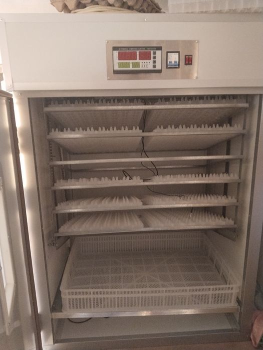 Инкубатор на 1056 яиц