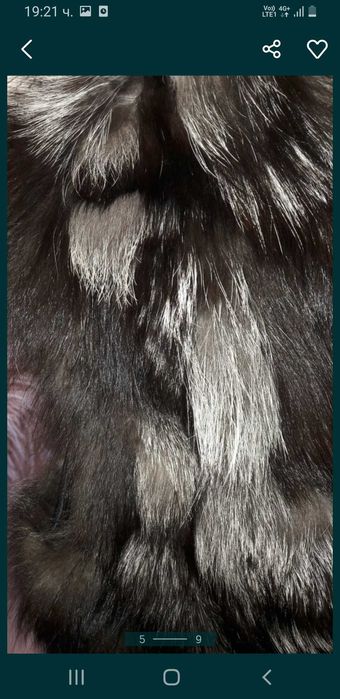 Нов елек сребърна лисица