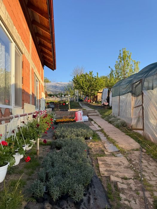 Vând casă în Vișea com.Jucu