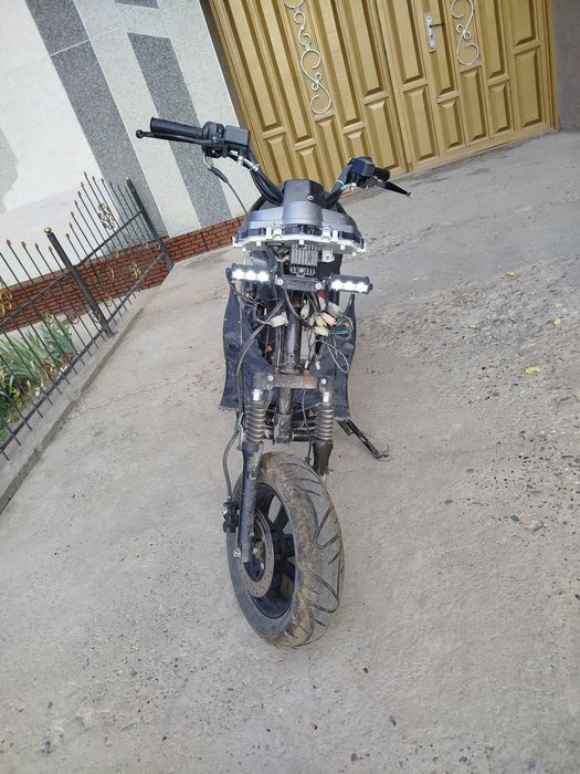 Tiger sukuter yuradi