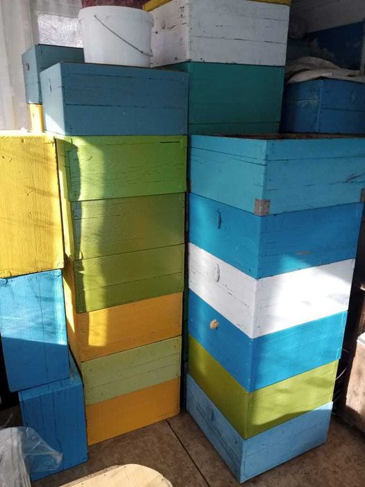 Улья рута без пчел