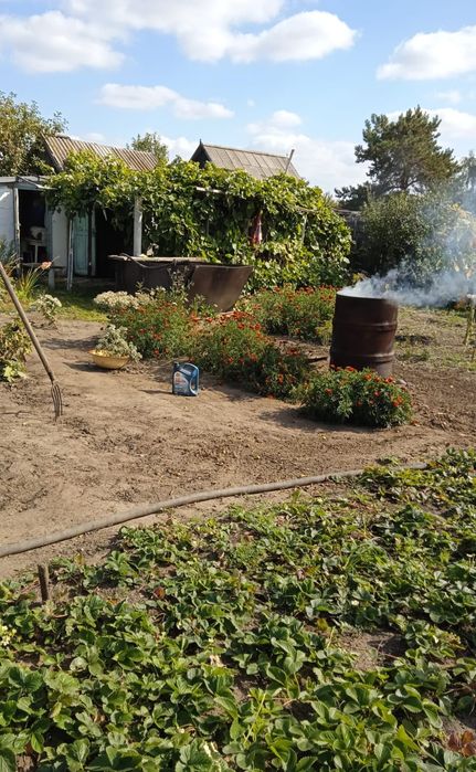 Продам дачу на 17, 6 соток