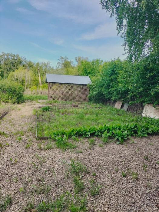 Продам дачу с насаждениями