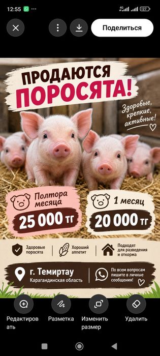 Продам поросят Темиртау
