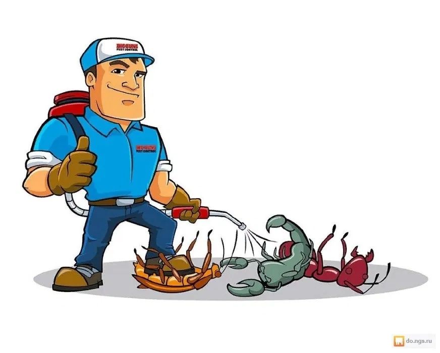 Дезинфекция Дезинсекция Дератизация СЭС кандала клопы тараканы