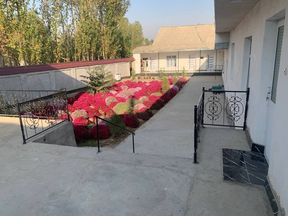 Hovli tayyor remont