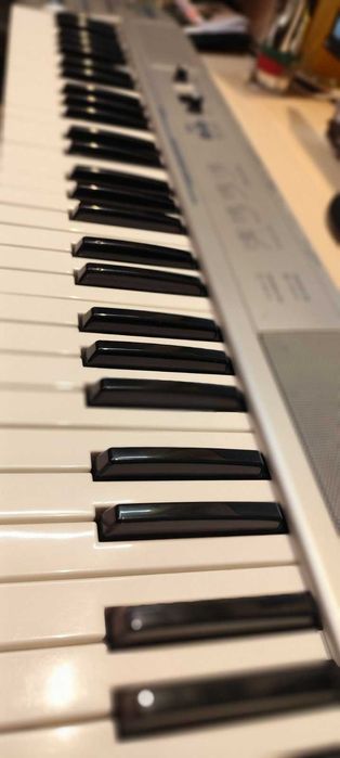 midi keyboard Edirol Pc 80 - 61 клавиша