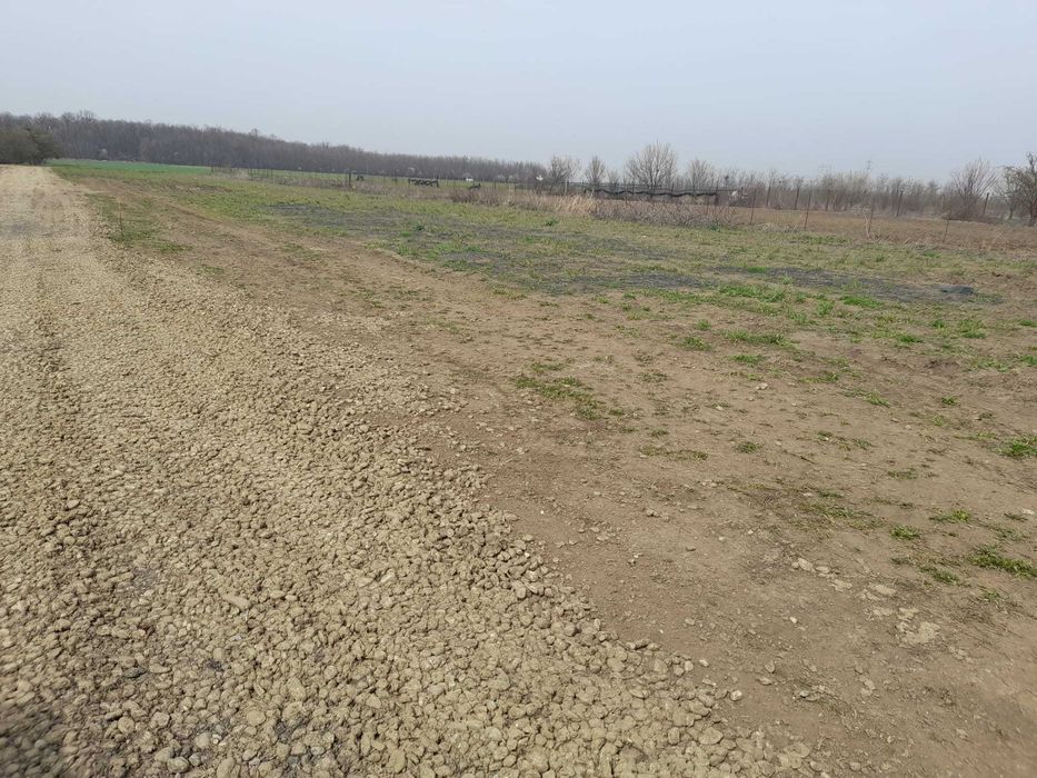 Vand teren  700mp Magurele Pruni, toate actele la zi, proprietar