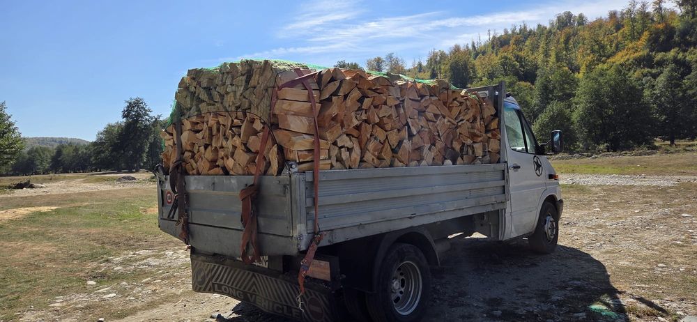 Lemne foc esențe tari transport gratuit rog și ofer seriozitate