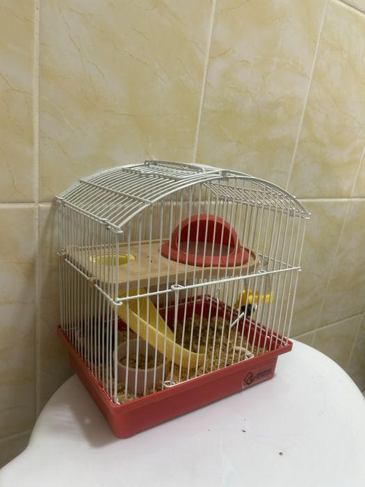 Хомяк продам с клеткой