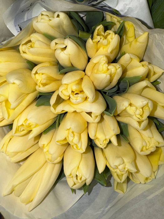 Тюльпаны оптом / розница от 25 штук