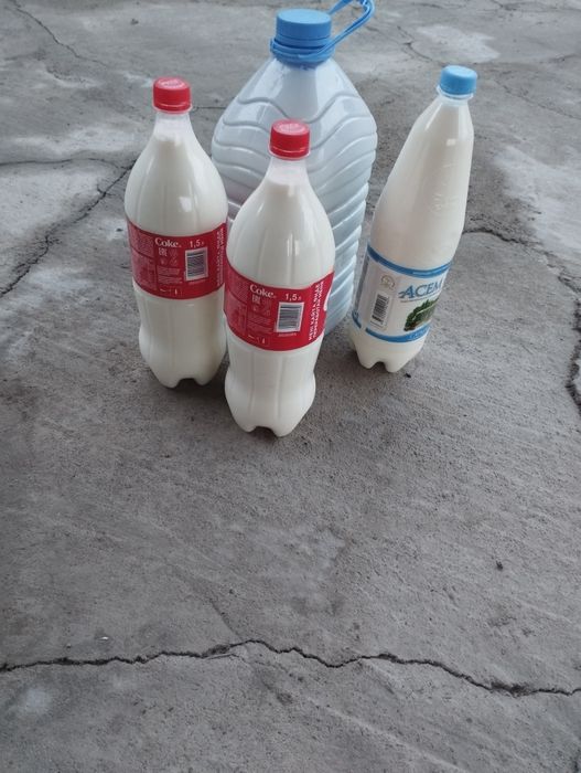 Продаем домашние молоко