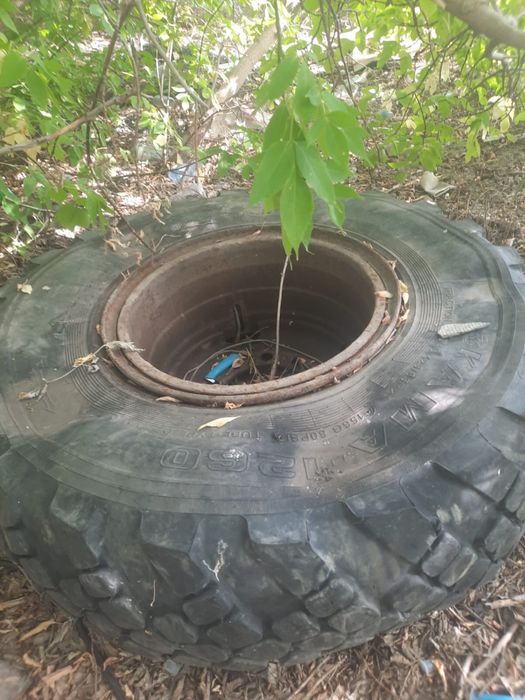 Продам колесо в сборе R21