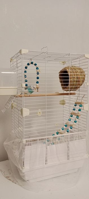 Клетка с попугаем