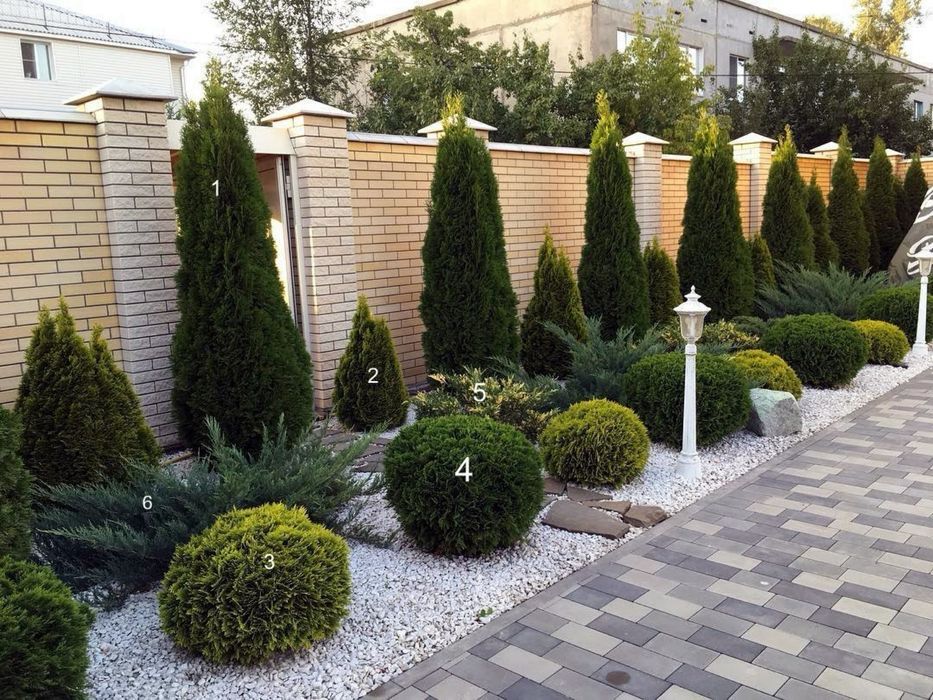 Archa kesish Арча кесиш Арча дорилаш хизмати