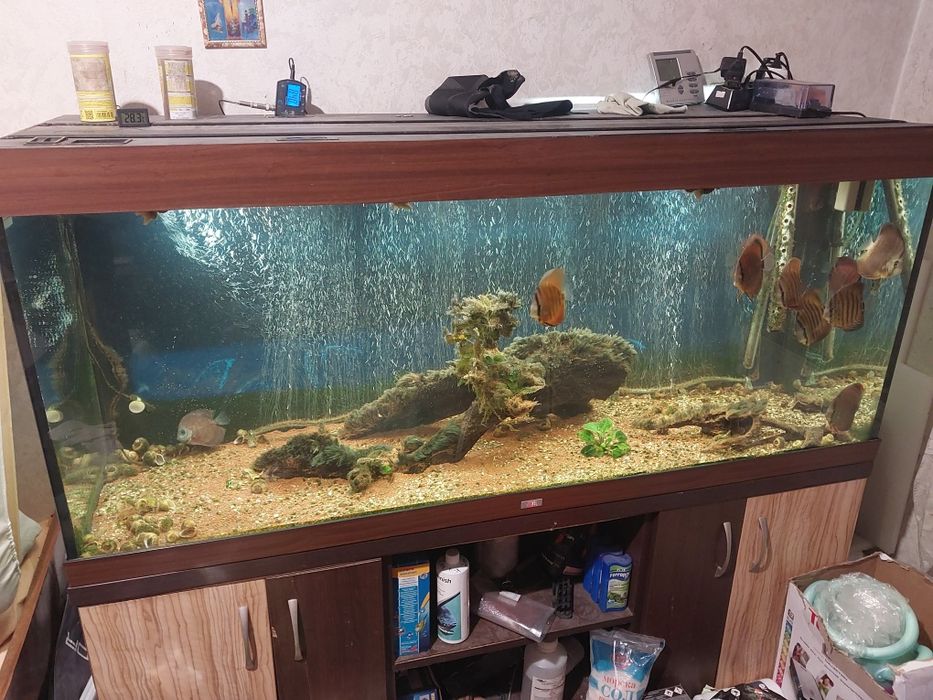 Аквариум 600 литра